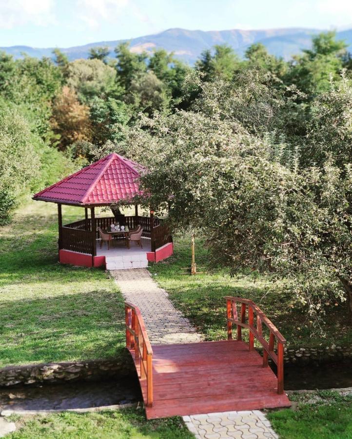 Horace Guesthouse Pool & Hot Tub & Bikes & River Dejani Exterior photo
